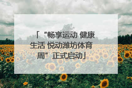 “畅享运动 健康生活 悦动潍坊体育周”正式启动